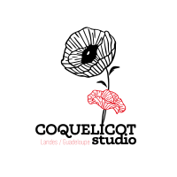 Réseaux sociaux Biscarrosse Coquelicot Studio